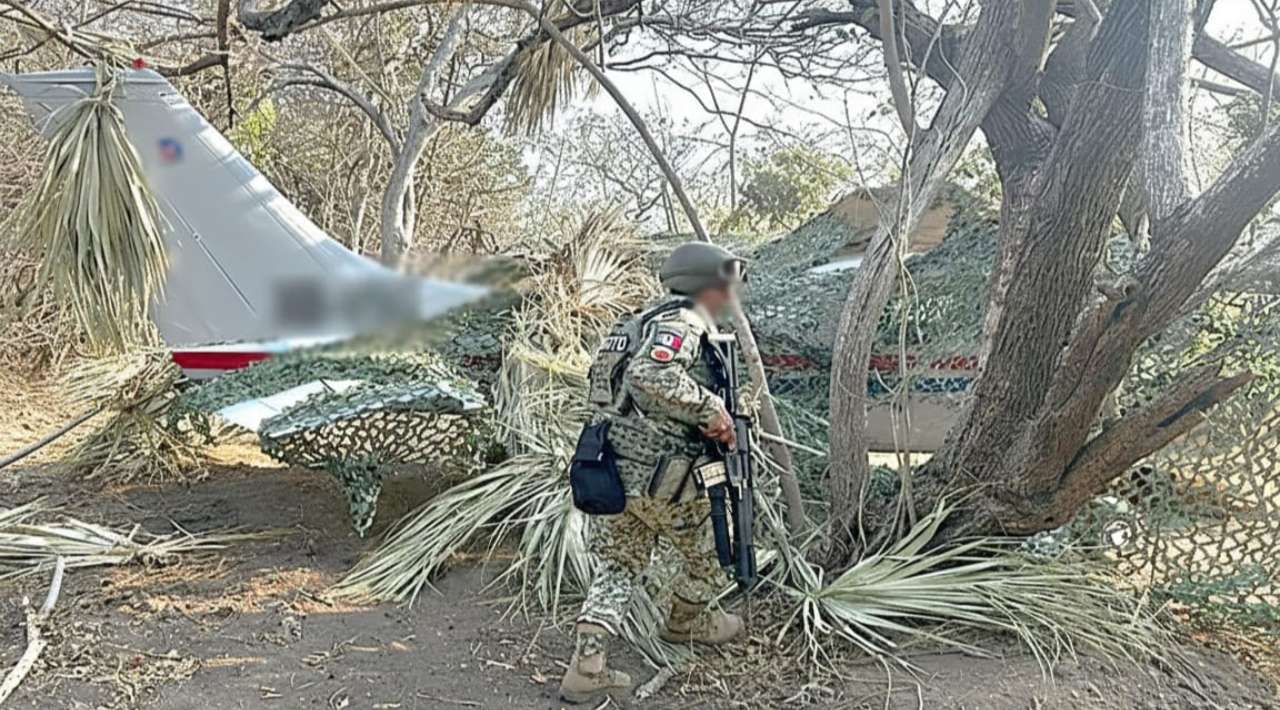Decomisan más de media tonelada de cocaína en avioneta clandestina en Oaxaca