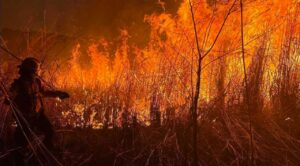 Hay 22 incendios forestales activos en 11 estados: Conafor