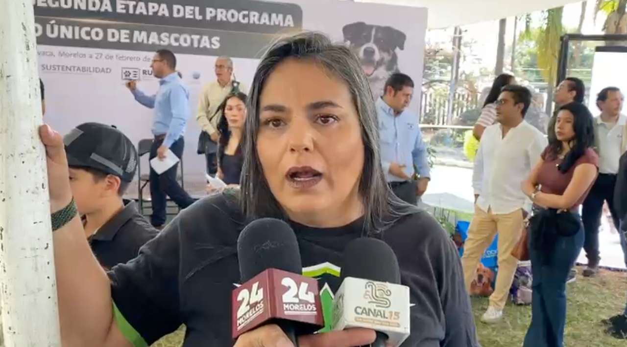 Denuncian falta de avance en capacitación judicial sobre protección animal