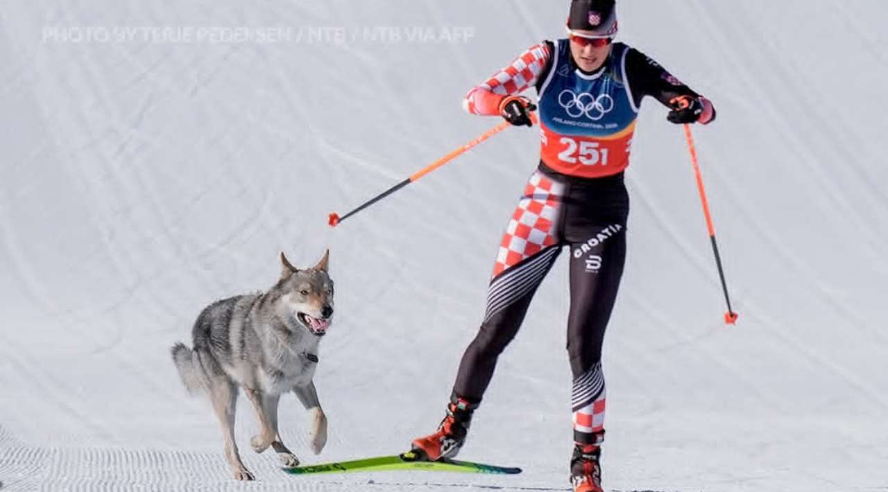 Perro irrumpe en prueba de esquí en Milano Cortina 2026 y se vuelve viral