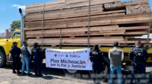 Operativo contra tala ilegal en Michoacán deja 14 detenidos