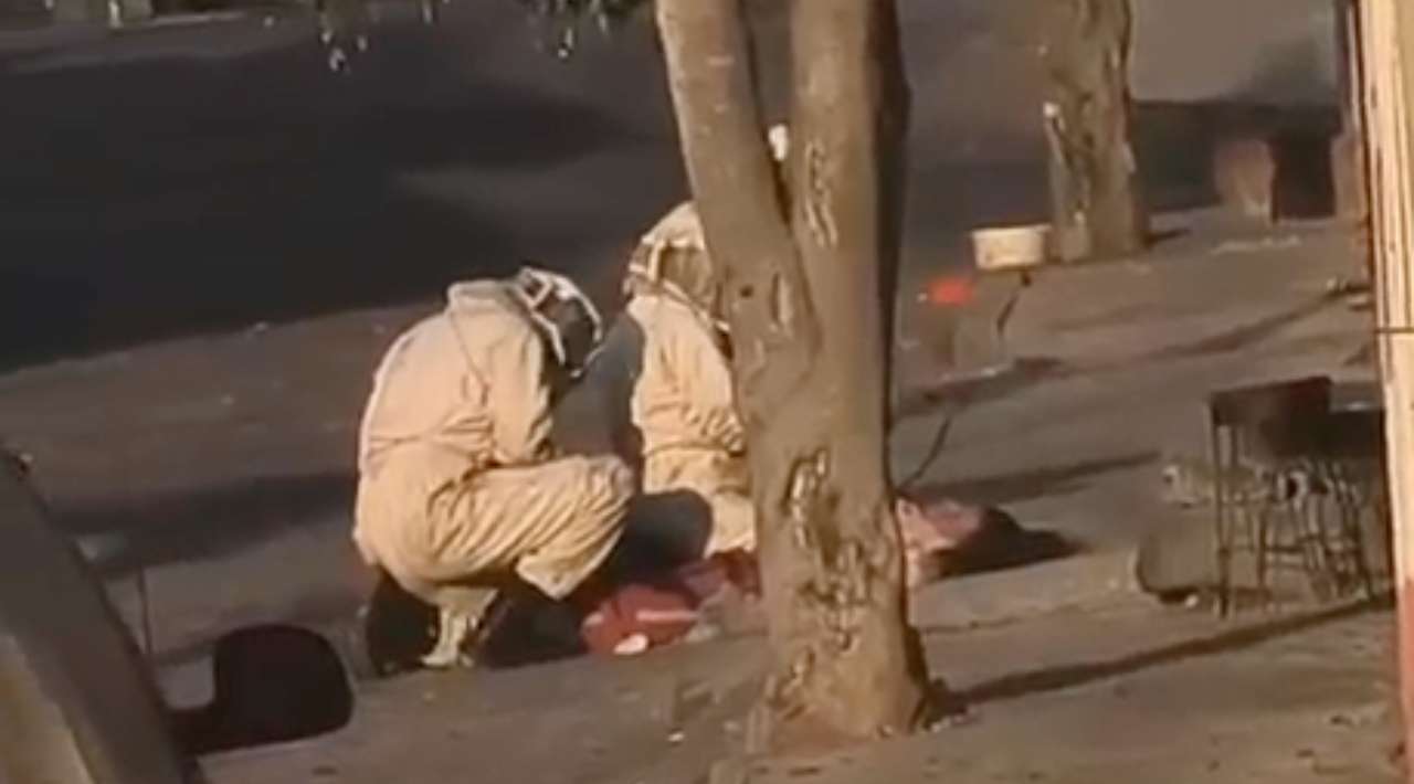 Mujer permanece delicada tras ataque de abejas en Cuernavaca