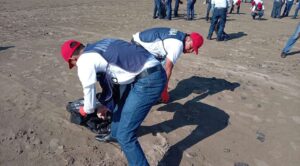 Semar recolecta más de 300 kg de hidrocarburo en playas de Veracruz