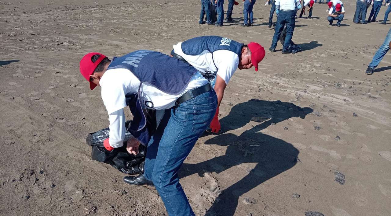Semar recolecta más de 300 kg de hidrocarburo en playas de Veracruz