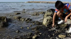 Presentarán informe sobre derrame en el Golfo de México este miércoles