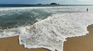 Cofepris emite documento sobre las playas en México aptas para vacacionar