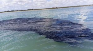 Grupo interinstitucional atienden derrame de hidrocarburo en Golfo de México; investigan origen: Sheinbaum