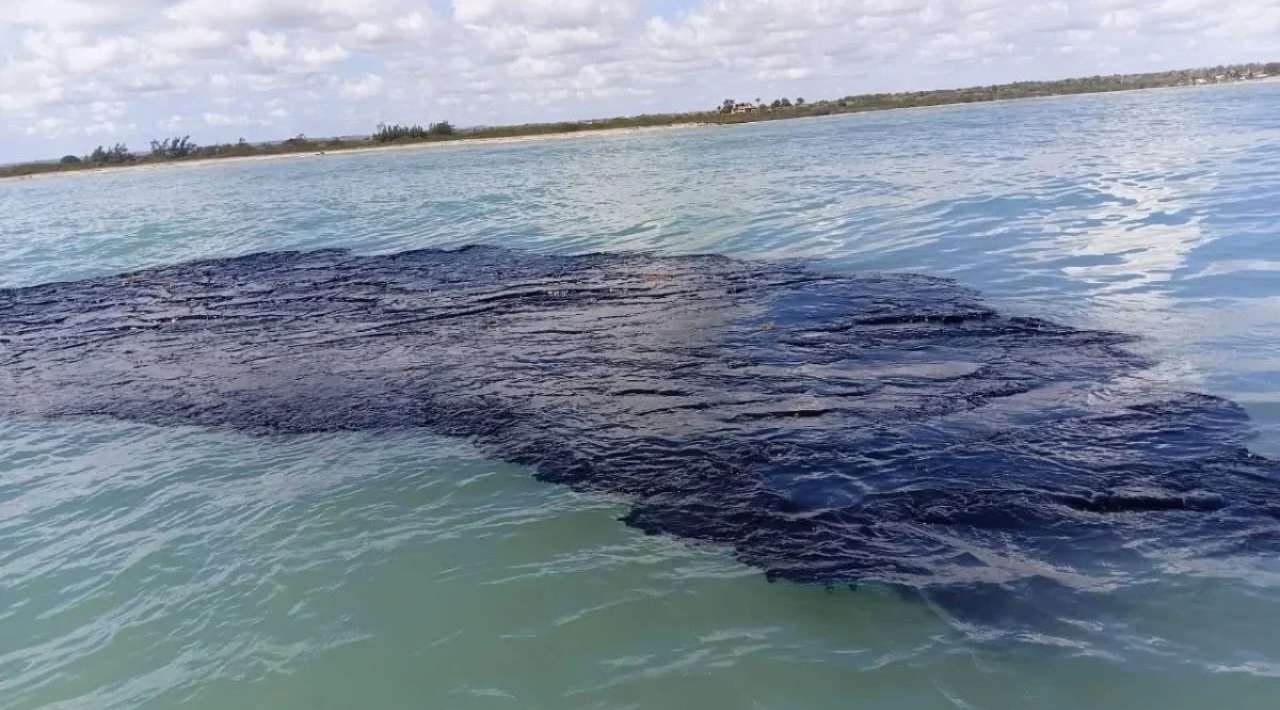 Grupo interinstitucional atienden derrame de hidrocarburo en Golfo de México; investigan origen: Sheinbaum