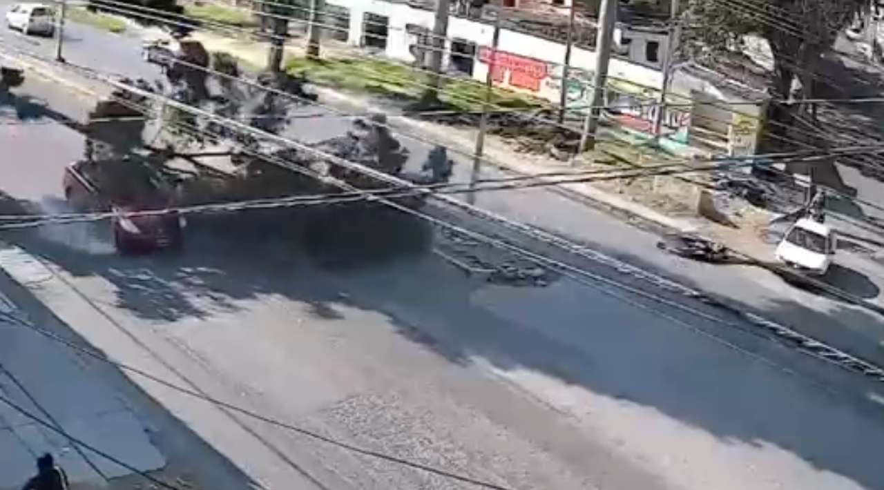 Rama cae sobre automóvil en Jiutepec; no hay lesionados