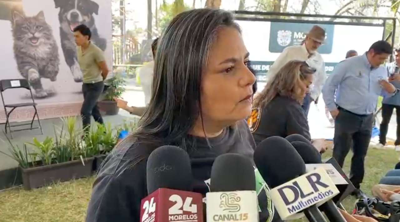 Exigen regular venta de venenos ante alza de envenenamiento de mascotas en Morelos