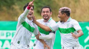 Remontada cañera en casa