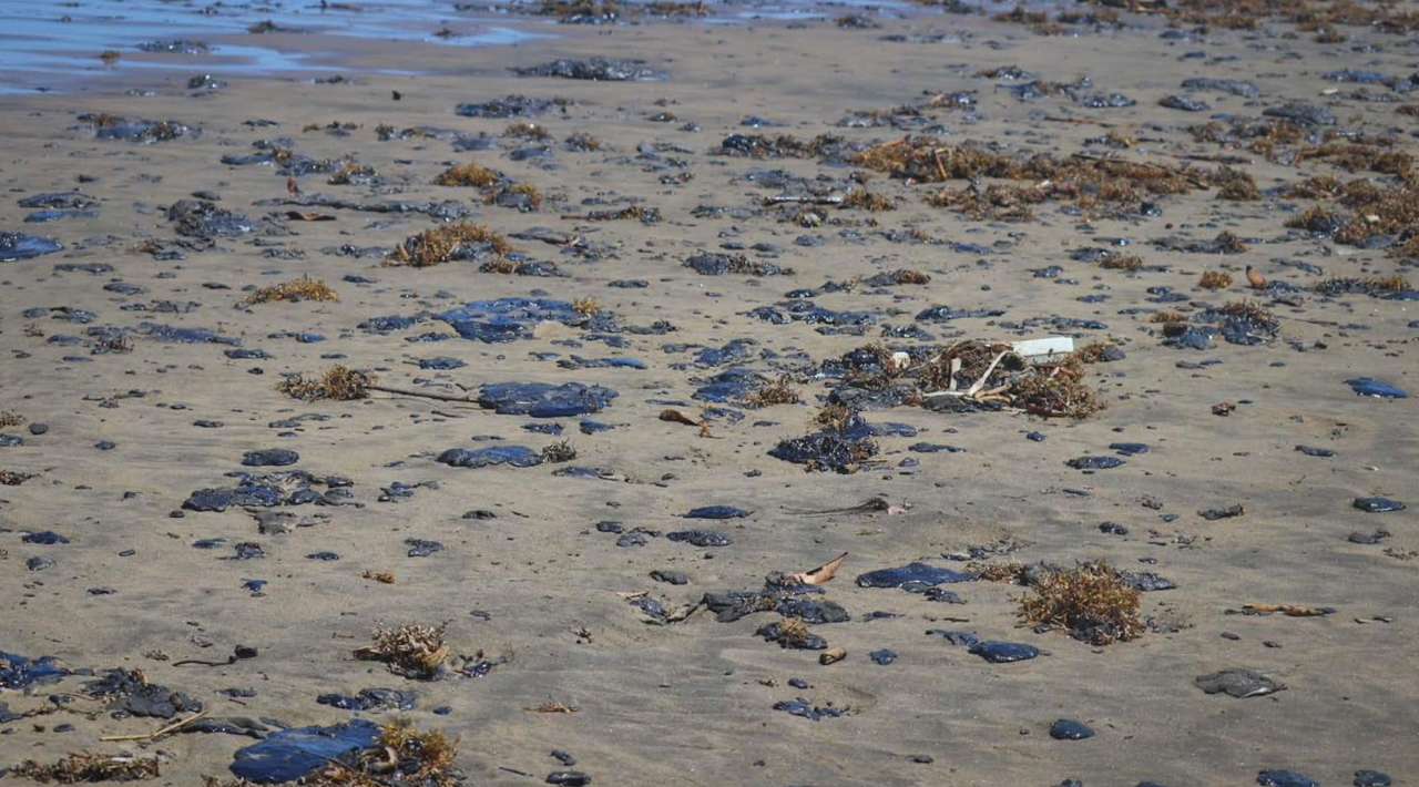 Gobierno federal prepara sistema de alerta por derrames de hidrocarburos en costas