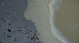 Autoridades evalúan daños por derrame de crudo en Veracruz y Tabasco