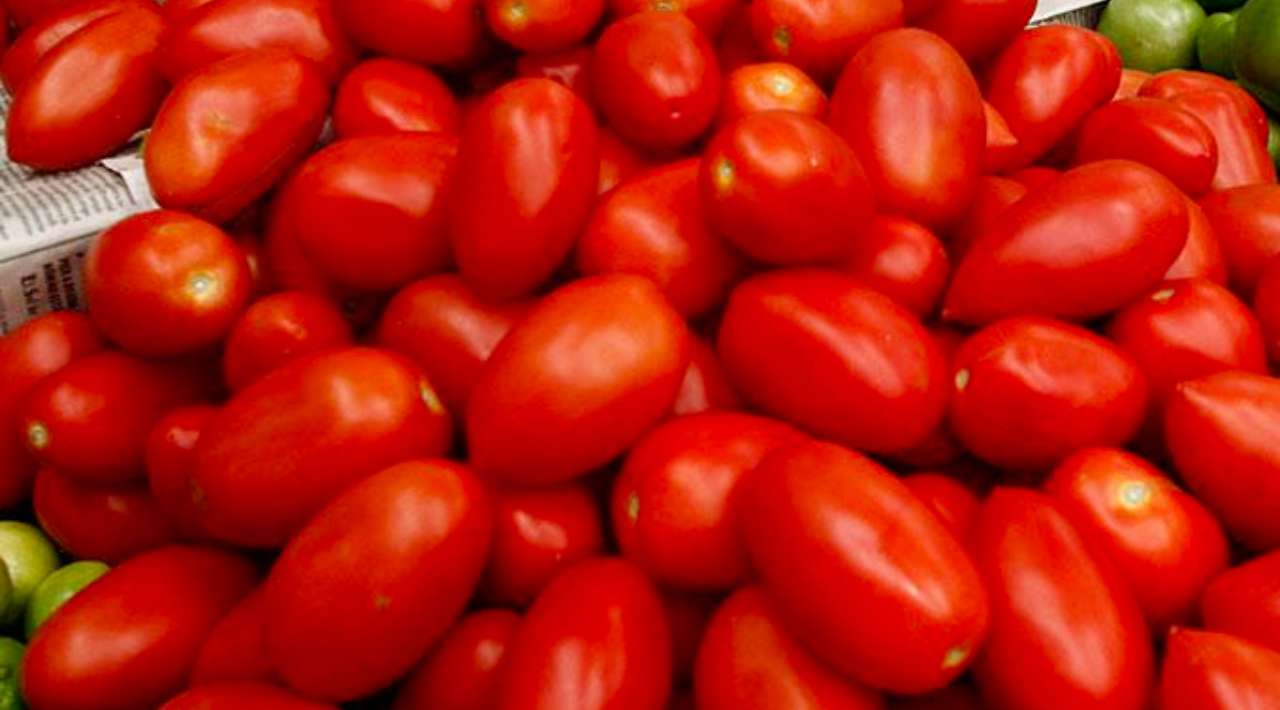 Comerciantes de Puente de Ixtla alertan alza constante en la canasta básica