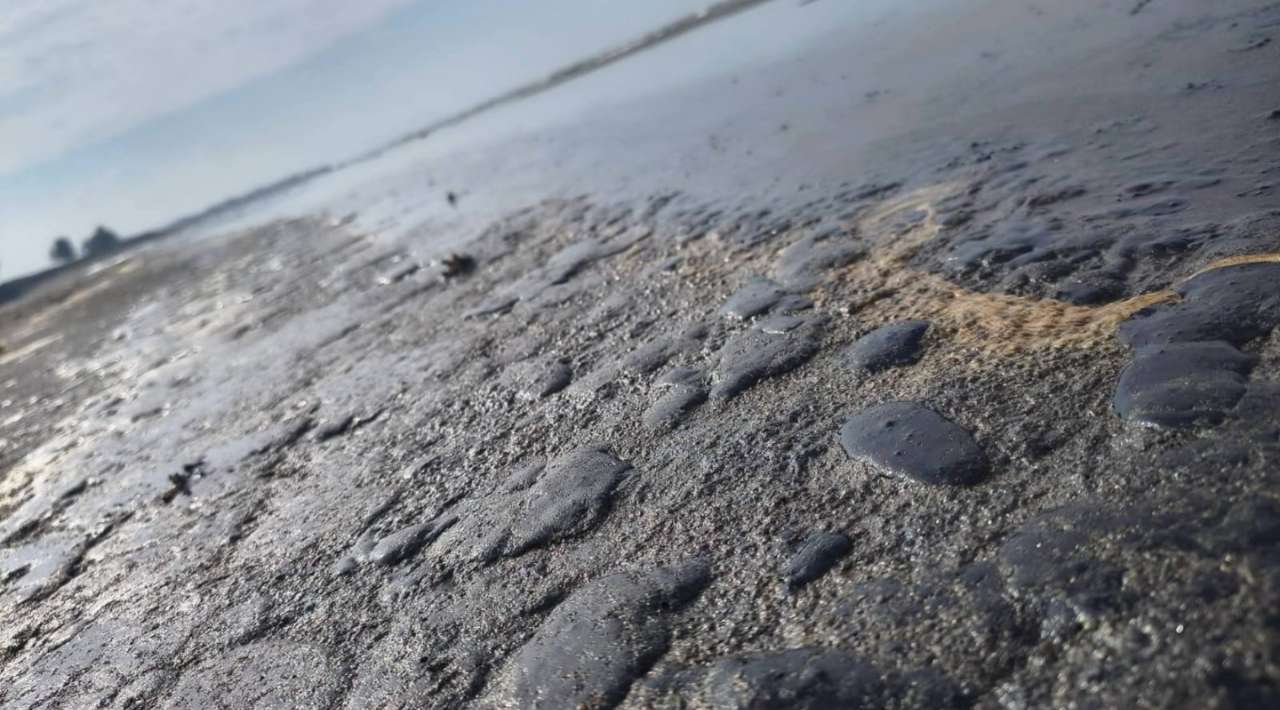 Once instituciones investigan derrames de petróleo en el Golfo de México: Sheinbaum