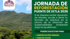 El municipio de Puente de Ixtla abre convocatoria para el registro de donación de árboles para la próxima jornada de reforestación