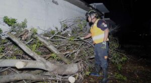 Árbol colapsa y derriba poste de luz tras fuerte lluvia en Jiutepec