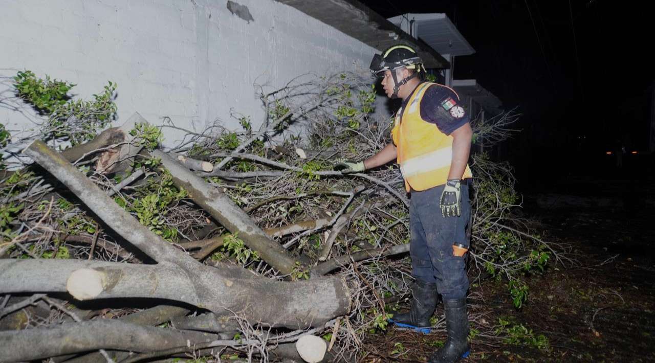 Árbol colapsa y derriba poste de luz tras fuerte lluvia en Jiutepec