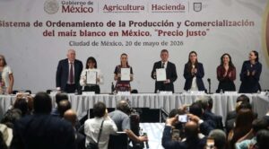 Gobierno y productores acuerdan esquema para garantizar precio justo del maíz blanco