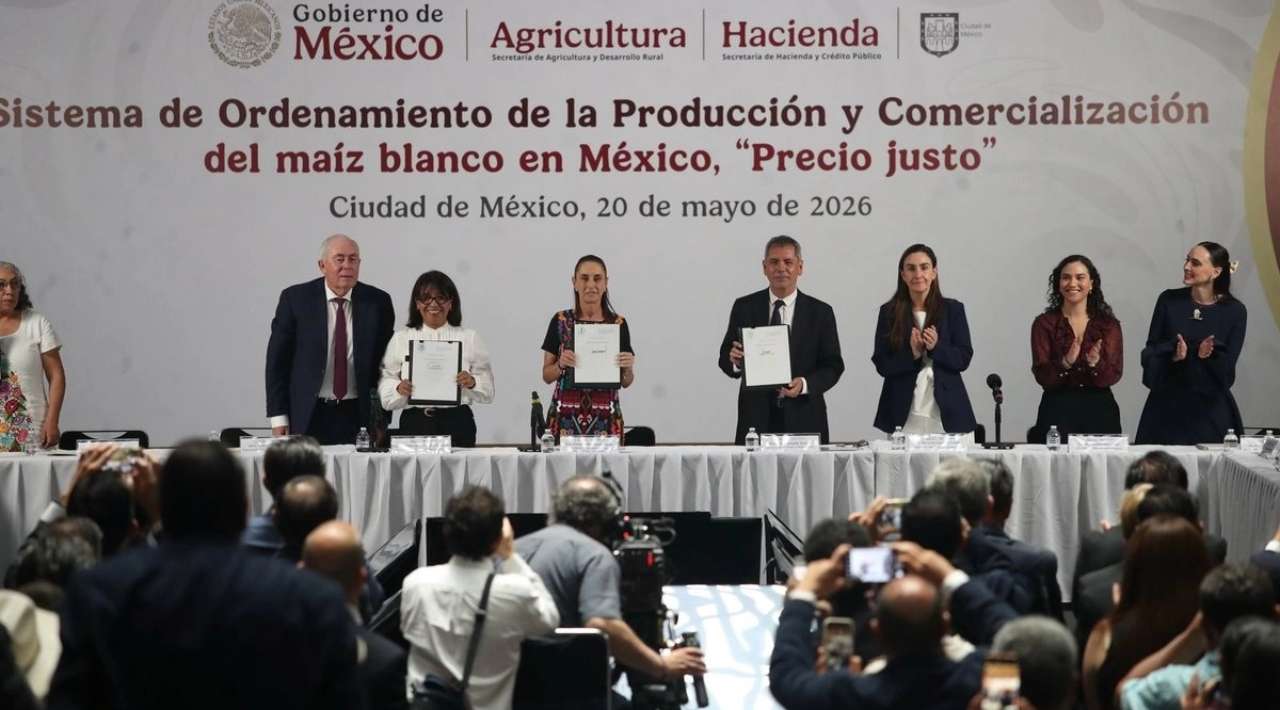 Gobierno y productores acuerdan esquema para garantizar precio justo del maíz blanco