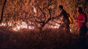Rayo habría provocado incendio en reserva Sierra Montenegro