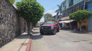 Ataque de abejas deja más de 40 alumnos lesionados en telesecundaria de Cuautla