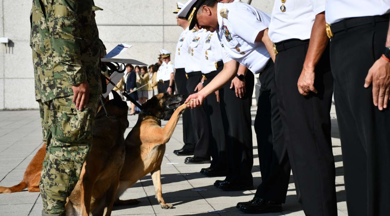 Marina jubila con honores a Niko, Hunter e Hidra, binomios caninos al servicio de México