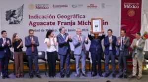 Aguacate de Michoacán obtiene reconocimiento de Indicación Geográfica