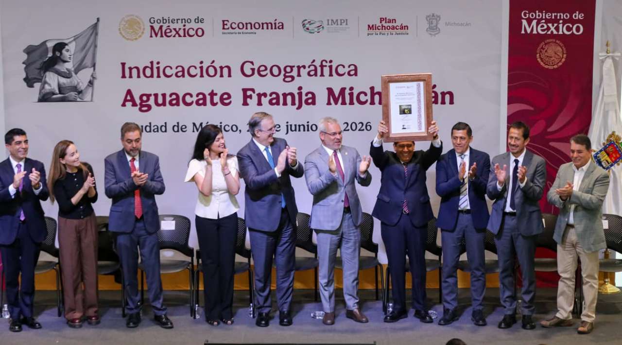 Aguacate de Michoacán obtiene reconocimiento de Indicación Geográfica