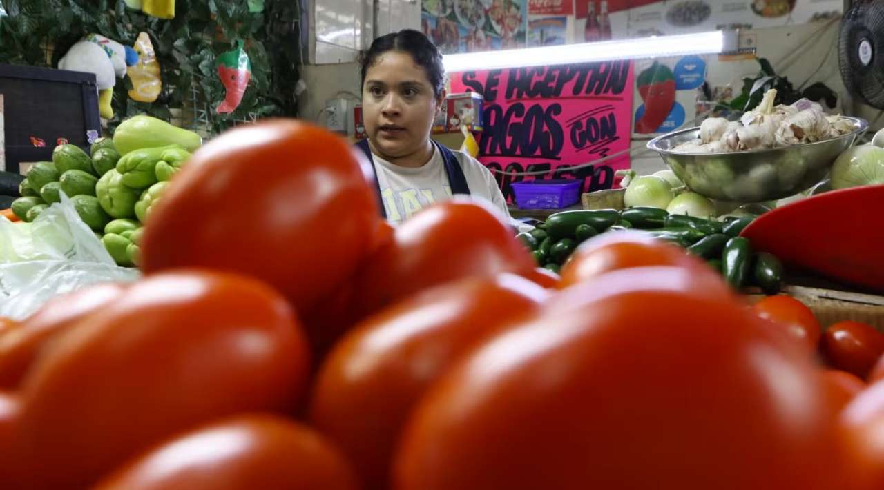 Gobierno federal busca eliminar intermediarios para bajar precio del jitomate
