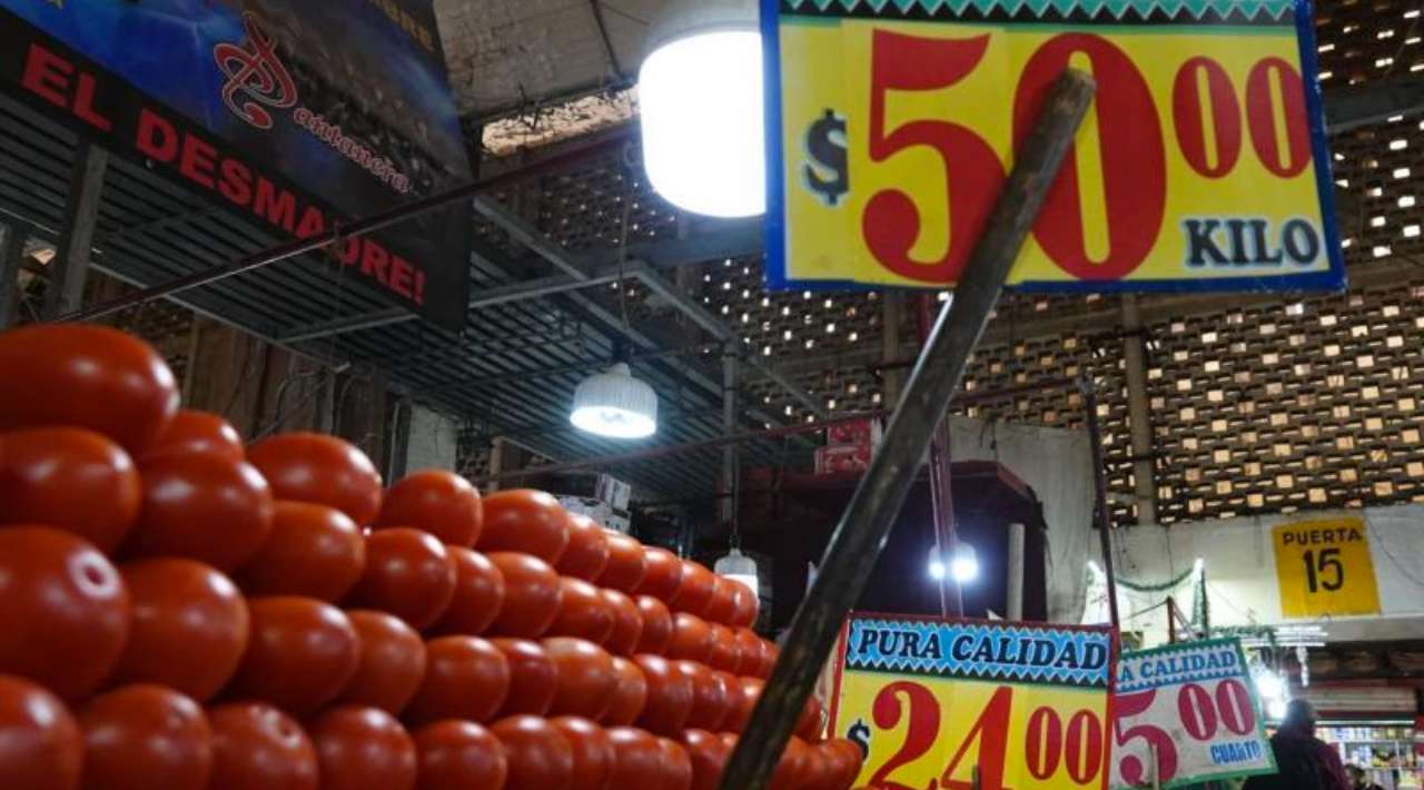 Profeco reporta baja en el precio del jitomate; kilo ya se vende desde 19.51 pesos