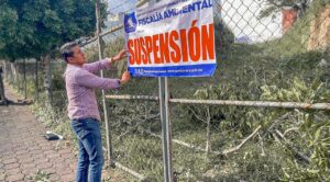 Investiga Fiscalía Ambiental tala de 10 árboles en Tlaltenango