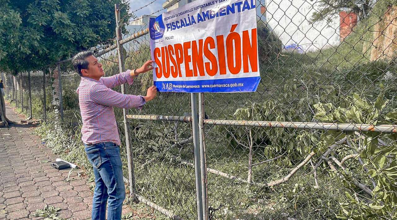 Investiga Fiscalía Ambiental tala de 10 árboles en Tlaltenango