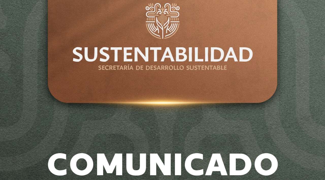 Propaem presenta denuncia por maltrato animal tras muerte de equino en jaripeo de Jojutla