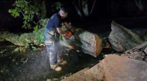 Retiran árboles caídos en cinco puntos de Cuernavaca por lluvias