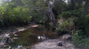 Ríos de Puente de Ixtla no representan riesgo para la población: Protección Civil