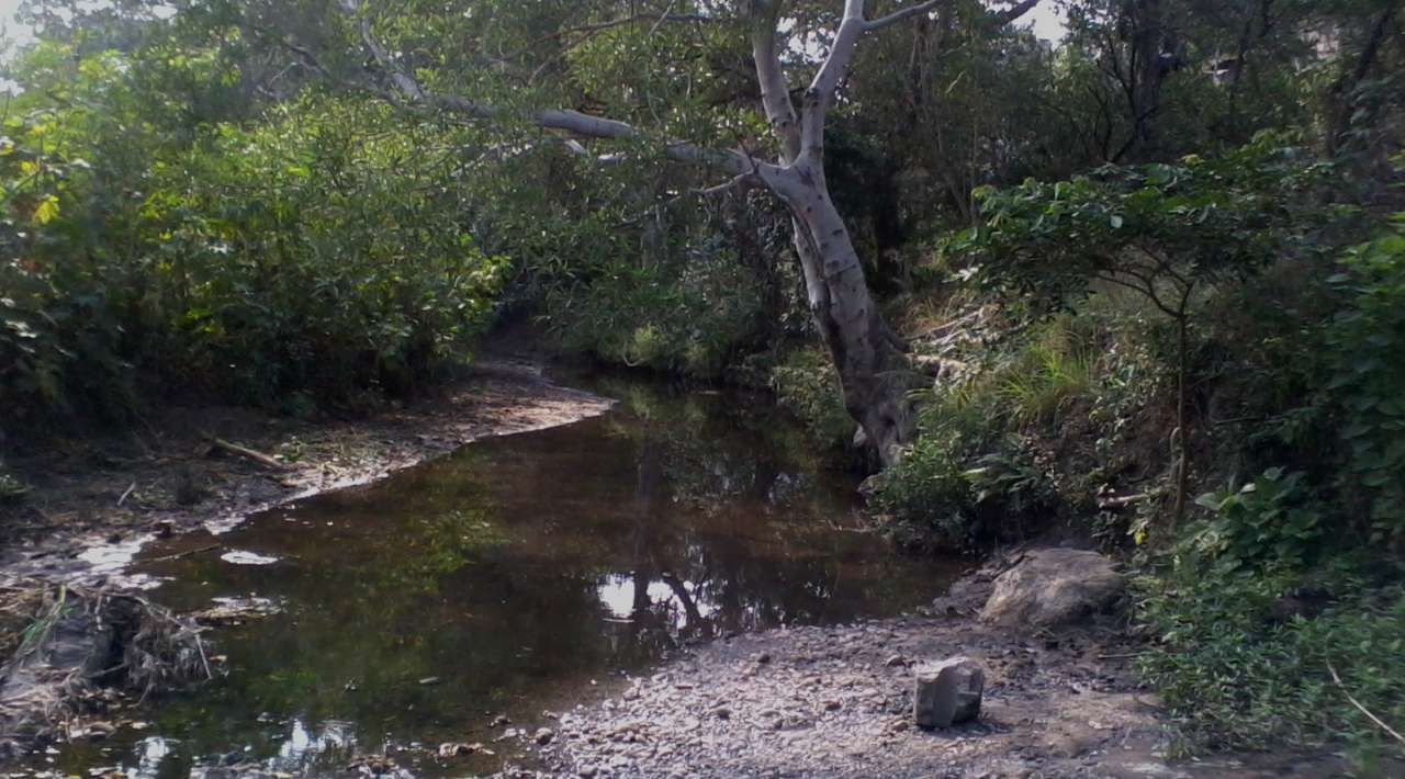 Ríos de Puente de Ixtla no representan riesgo para la población: Protección Civil