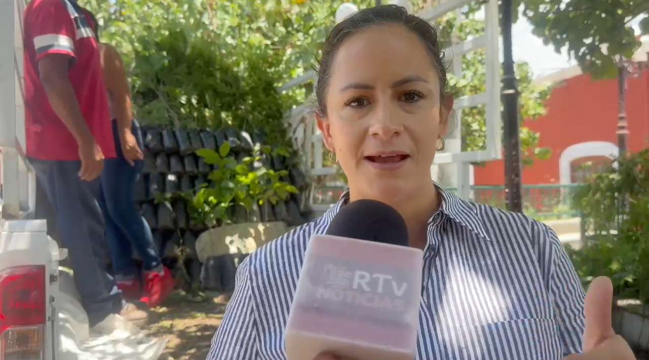 Puente de Ixtla proyecta plantar 15 mil árboles endémicos durante 2026