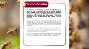 ISSSTE atiende a 13 personas tras ataque de abejas en hospital de Cuautla