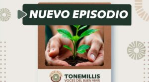 Secretaría de Bienestar lanza quinto episodio del podcast Tonemillis dedicado a Axochiapan