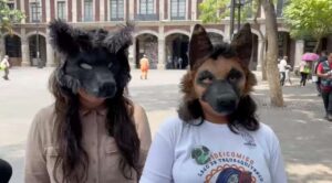 Piden respeto y alto a la discriminación hacia la comunidad therian en Cuernavaca