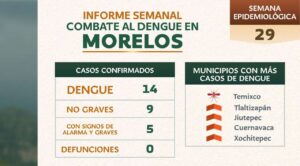 Morelos mantiene baja incidencia de dengue; autoridades llaman a reforzar medidas preventivas