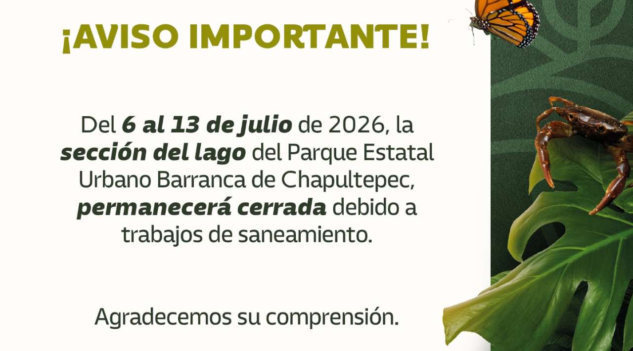 SDS cierra temporalmente sección del lago en Barranca Chapultepec por trabajos de saneamiento