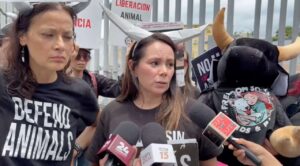 Colectivos animalistas exigen al Congreso de Morelos prohibir la tauromaquia y jaripeos