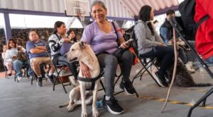 Avanza programa de esterilización gratuita; buscan 10 mil cirugías en Morelos para octubre