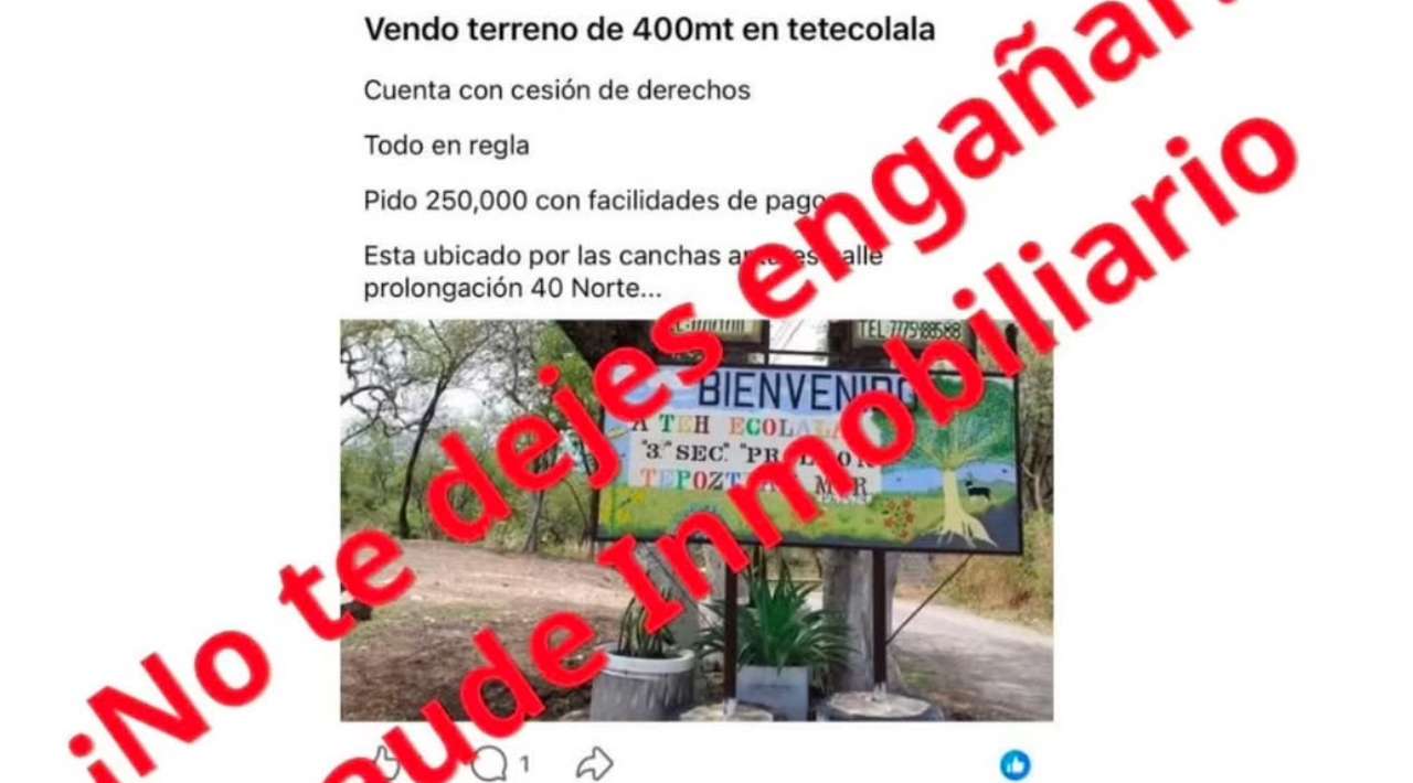 Conanp alerta por venta ilícita de terrenos en el Parque Nacional El Tepozteco