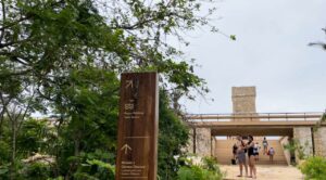 Sheinbaum anuncia plan turístico para Tulum con acceso gratuito al parque El Jaguar