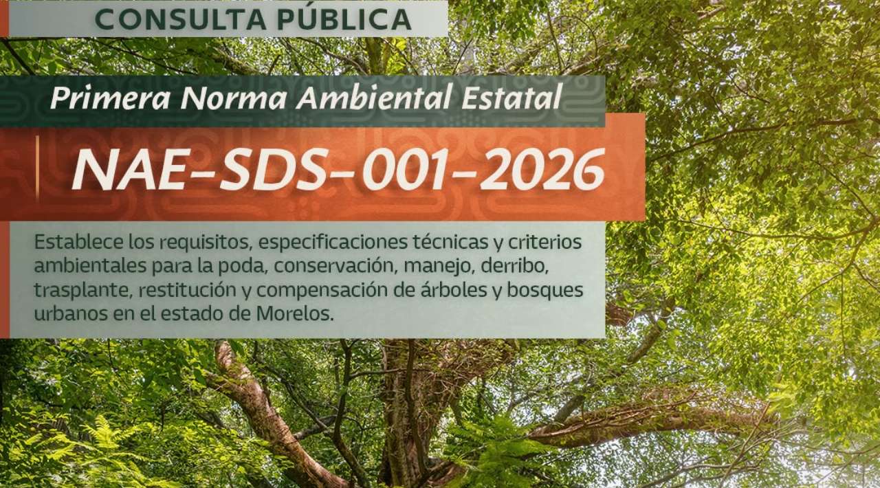 Abre Gobierno Estatal consulta pública para proteger árboles y bosques urbanos
