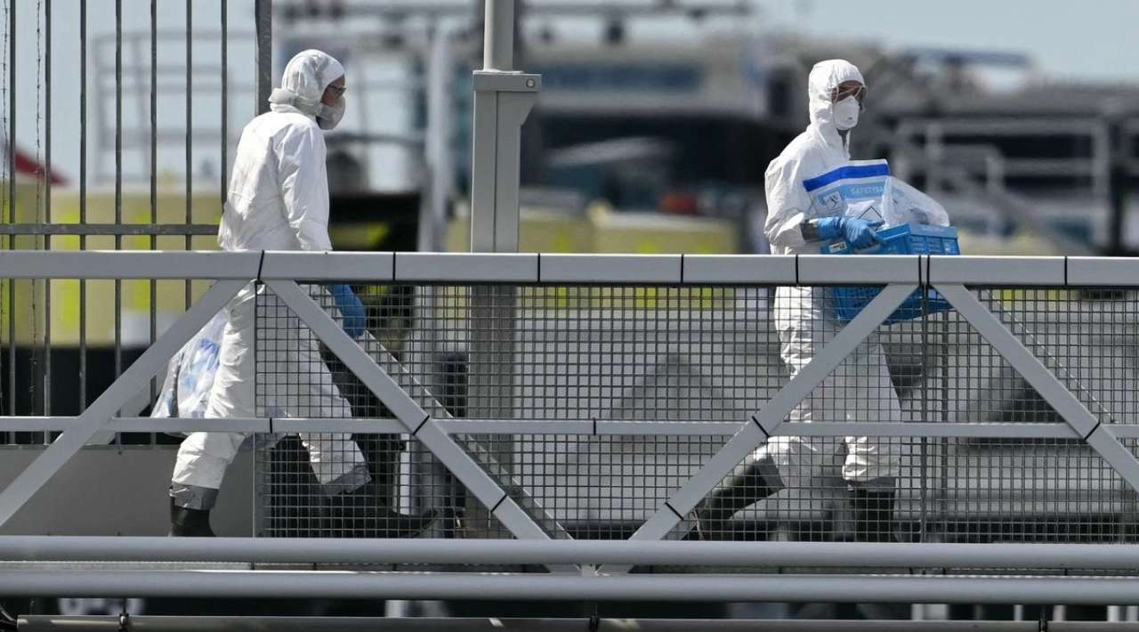 Confirman tres muertes por hantavirus en Venezuela; investigan otros dos decesos