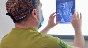 IMSS Morelos advierte sobre riesgos de lesión cerebral traumática tras golpes en la cabeza